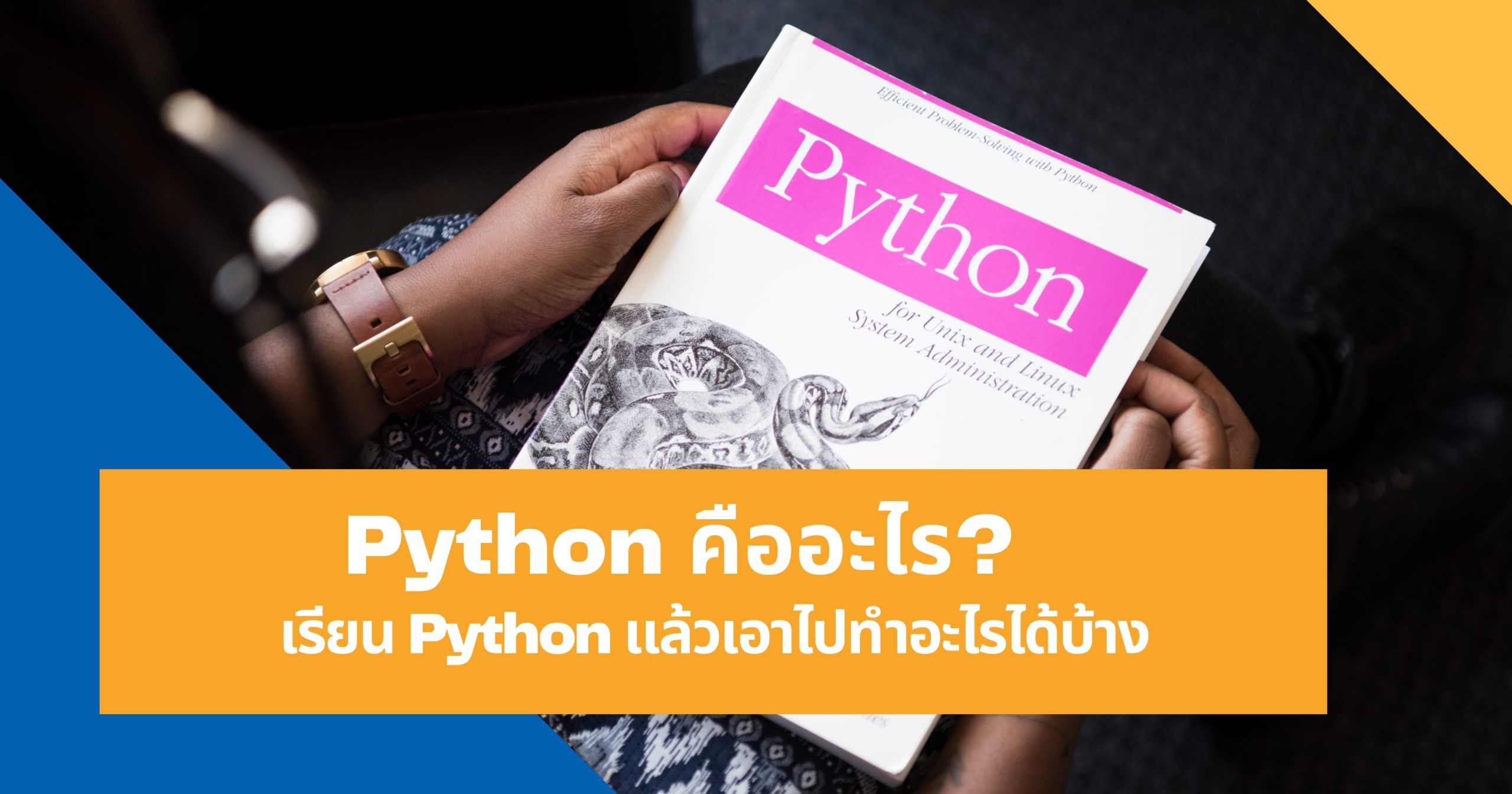 Python คืออะไร? เรียน Python แล้วเอาไปทำอะไรได้บ้าง - VPS HiSpeed